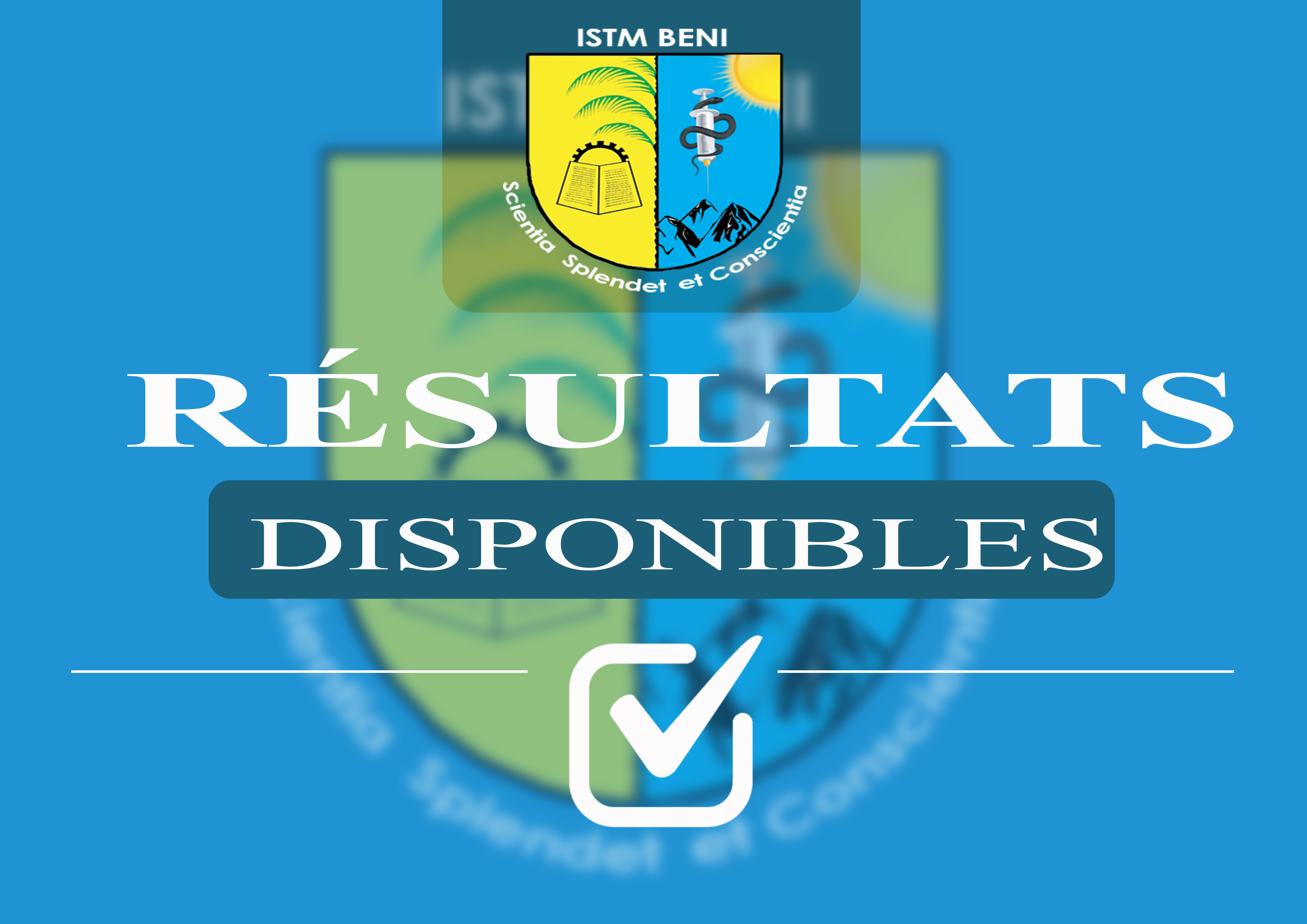 Résultats du premier semestre disponibles !